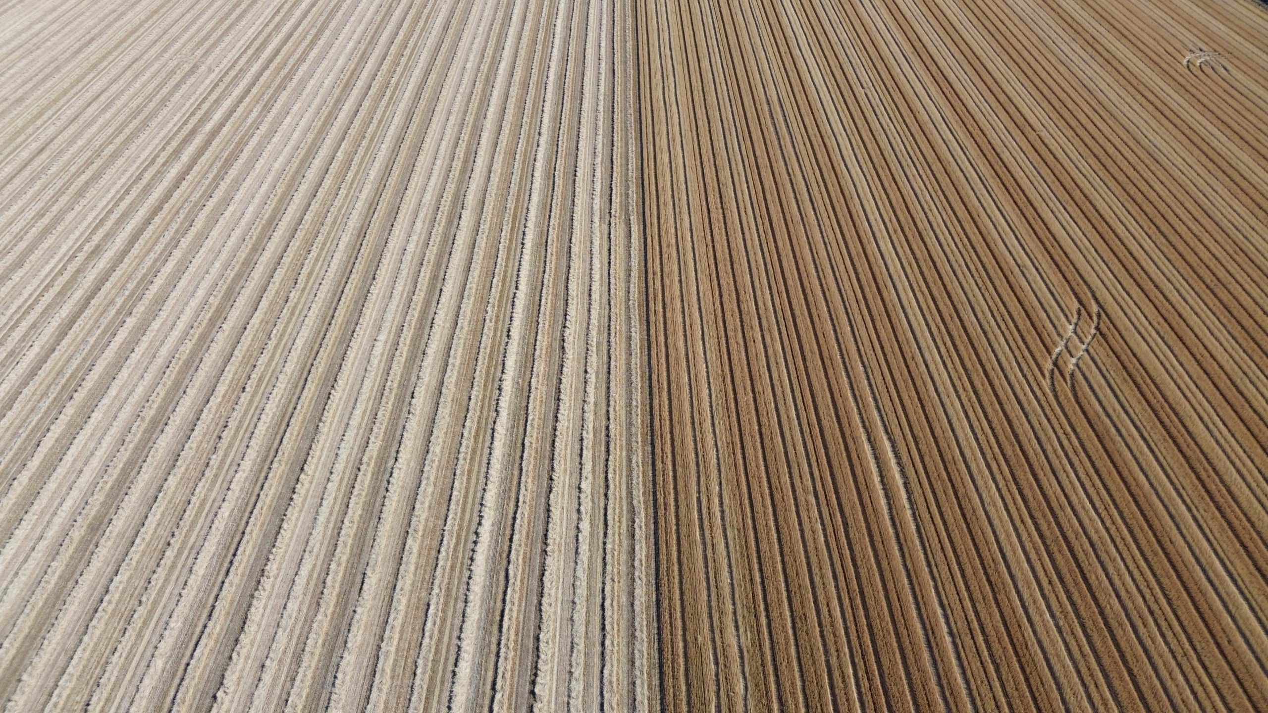 Flight Log 7: Just Parallel Lines.  Mostly.