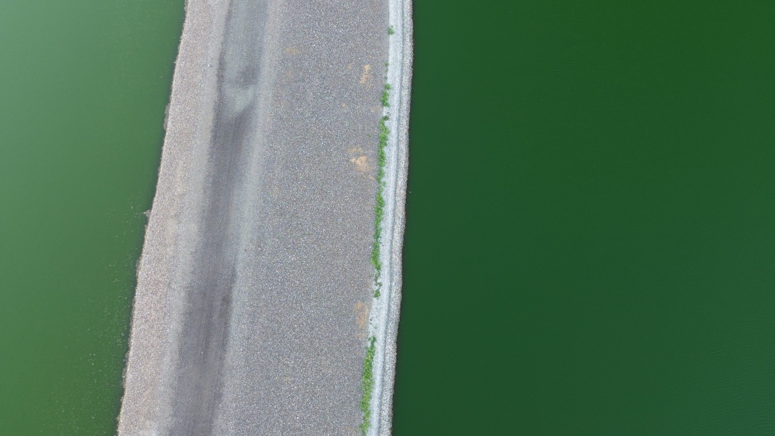 Flight Log 11: The Green Pond
