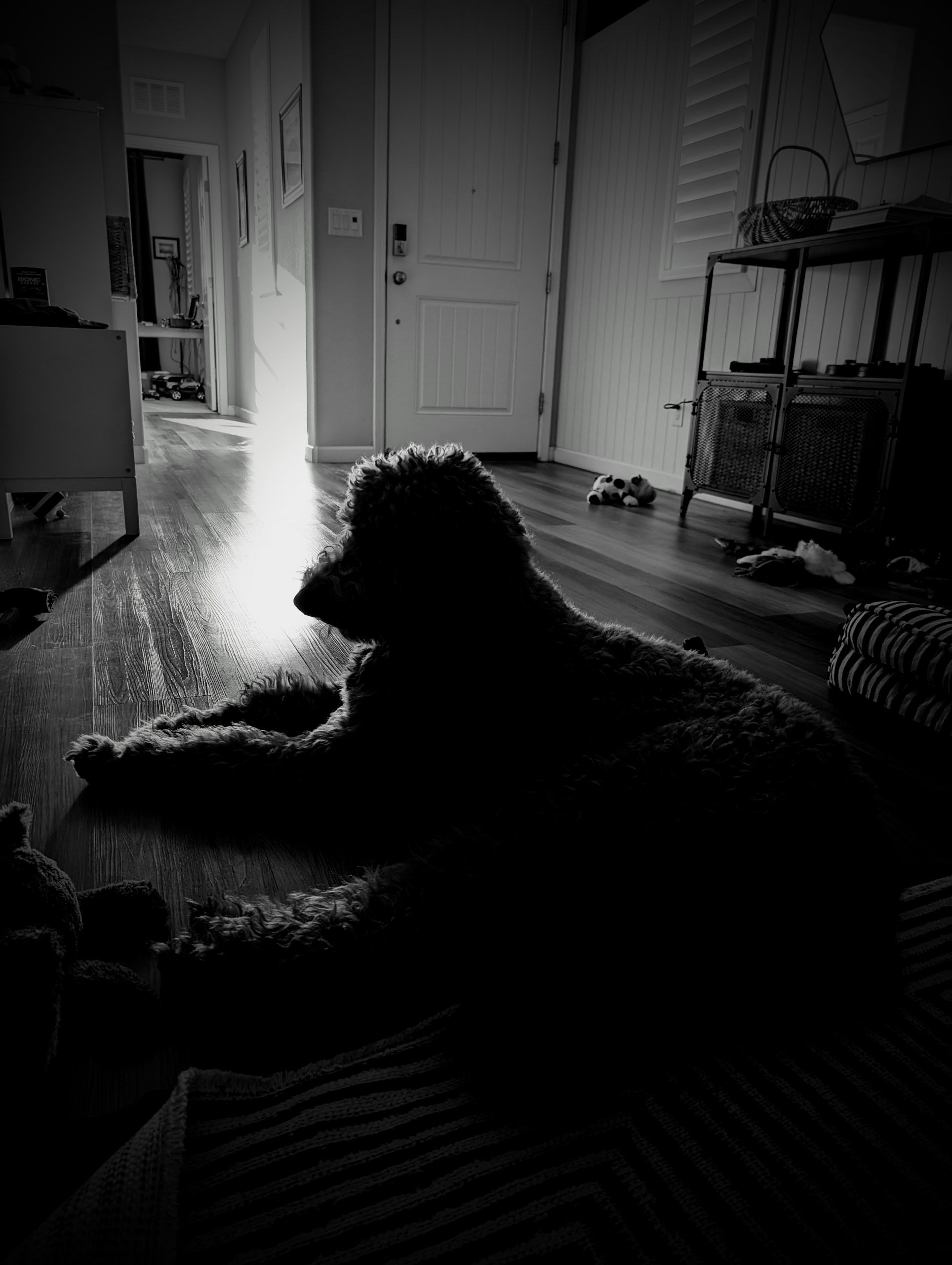 Morning Light in Black and White