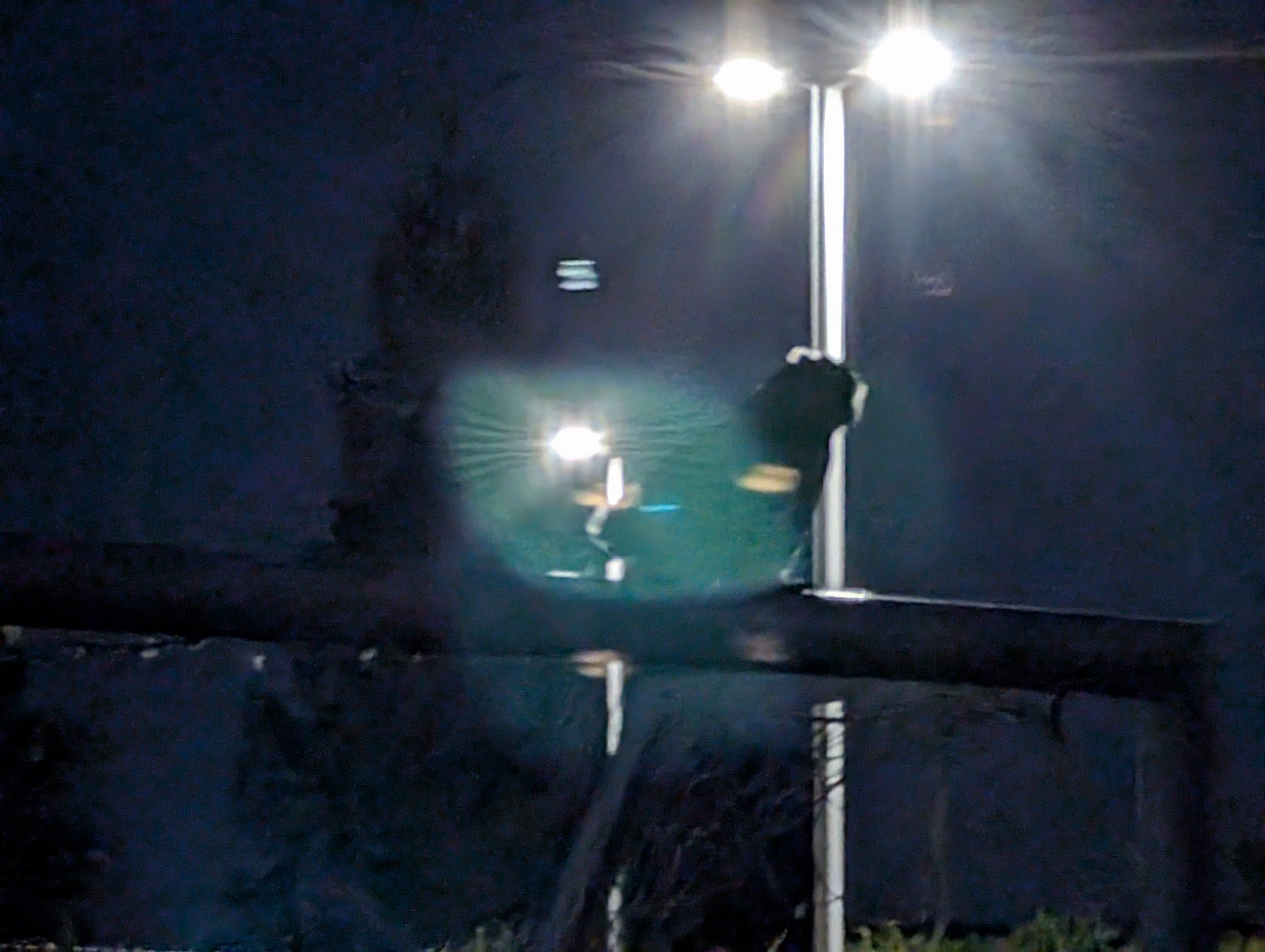 Took a Picture of an Owl at Night