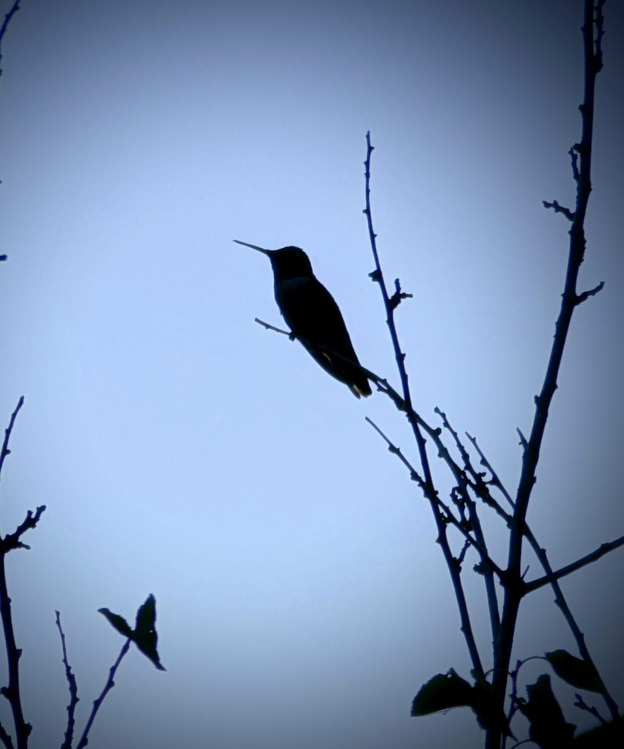 Milestone: 10 Hours of Music Practice