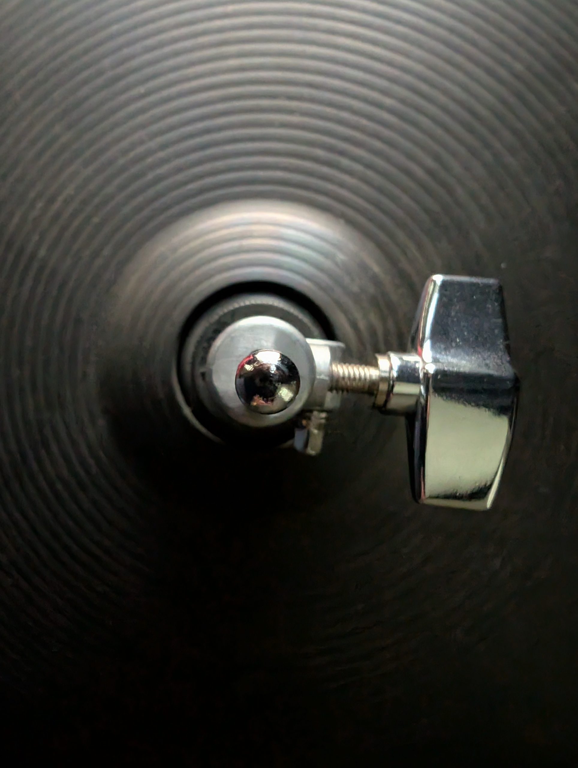 A Thousand Hours of Music Practice