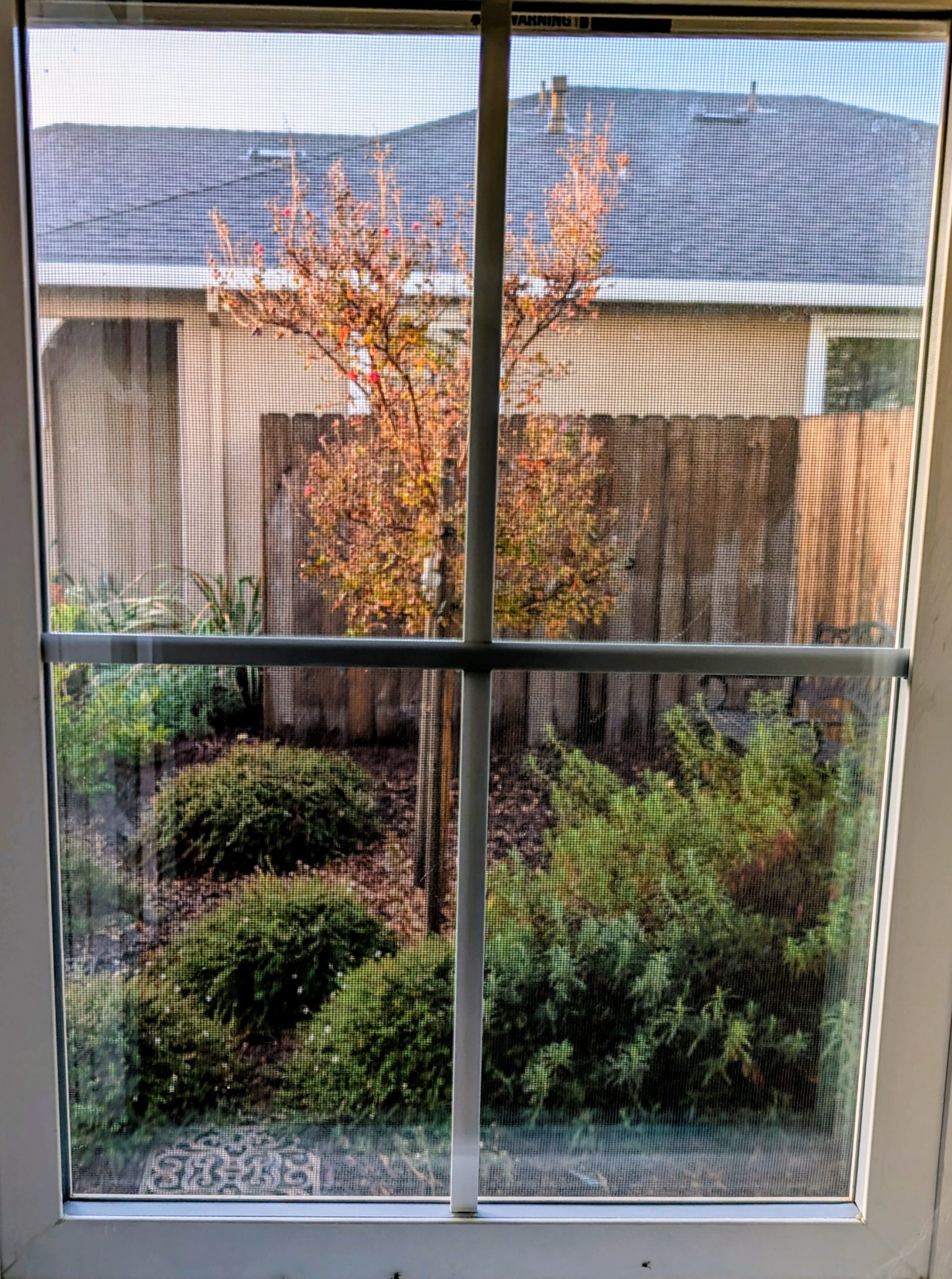 Does Cannabis Reveal What Has Always Been in Front of You?