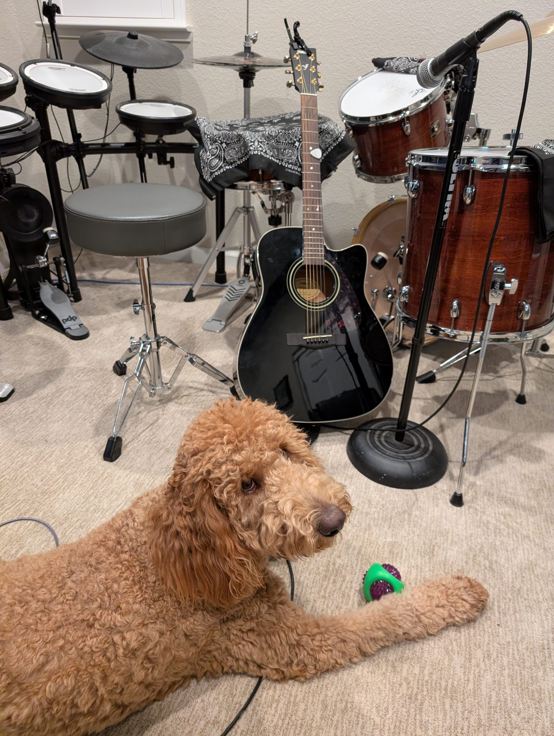Strumming While Drumming