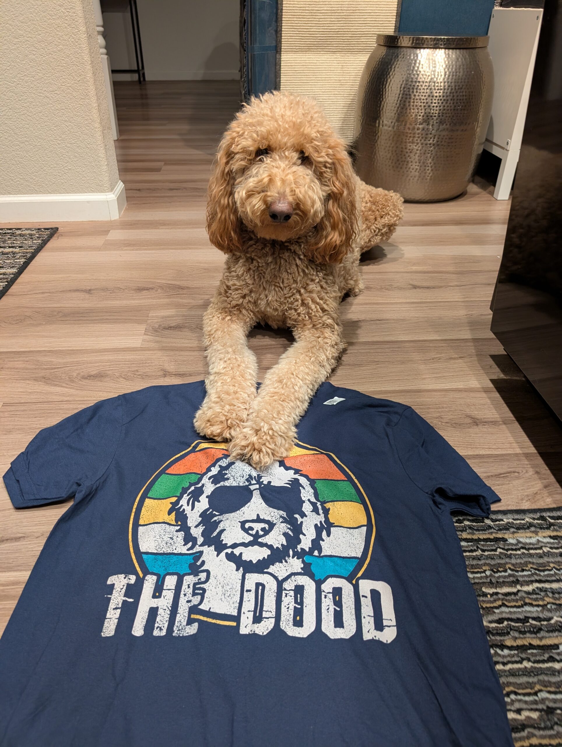 The Perfect Shirt Does Not Exist